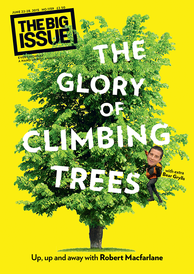 The glory of climbing trees: Up, up and away with Robert Macfarlane