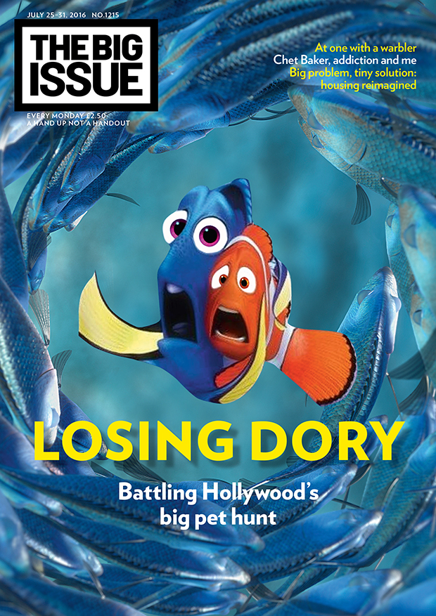 Losing Dory. Battling Hollywood’s big pet hunt