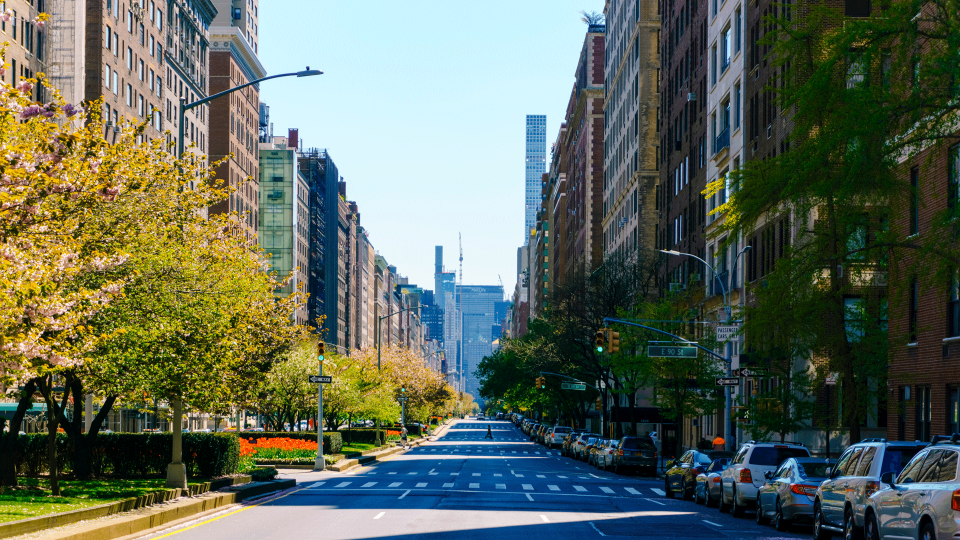 In Our Country Friends, the protagonists leave locked down New York for a country pile upstate Photo: Clay LeConey / Unsplash