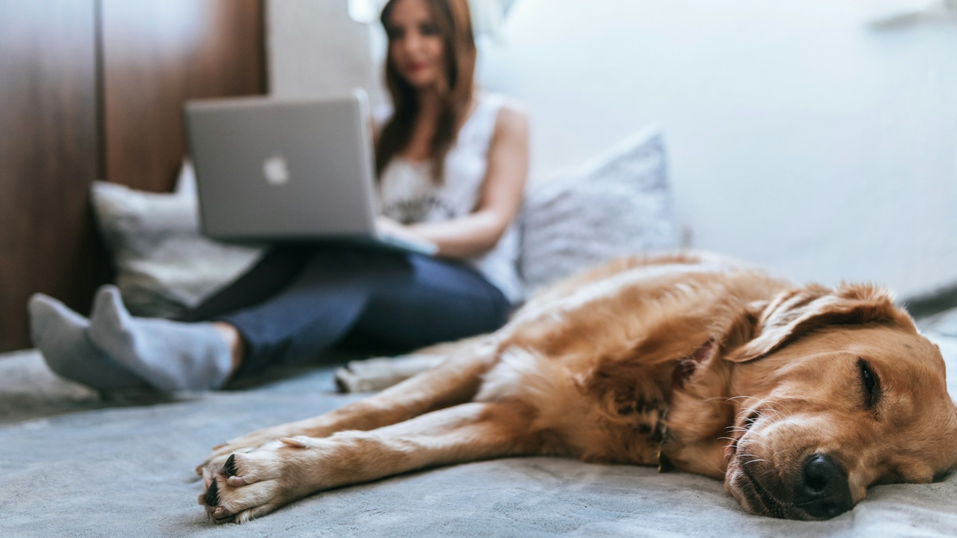 a woman sitting on a bed using a laptop, with a golden retriever lying beside her