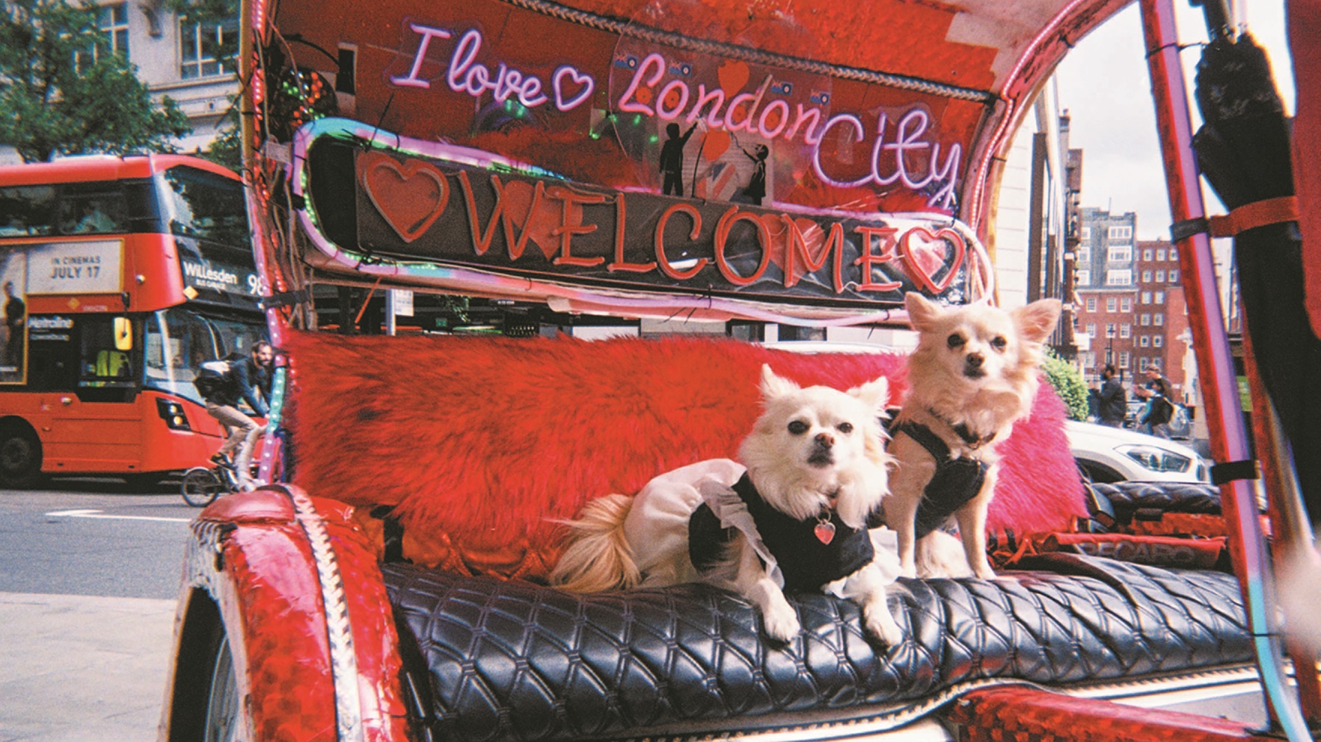 two dogs on a pedicab in London