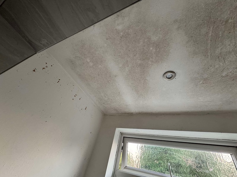 Mould on the ceiling at a property owned by Stephen Mulhern