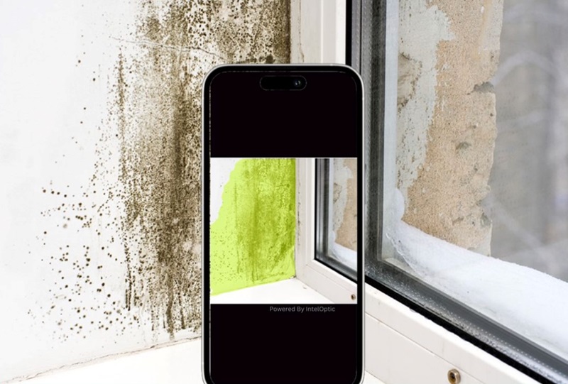 Phone with AI app to assess moisture and mold