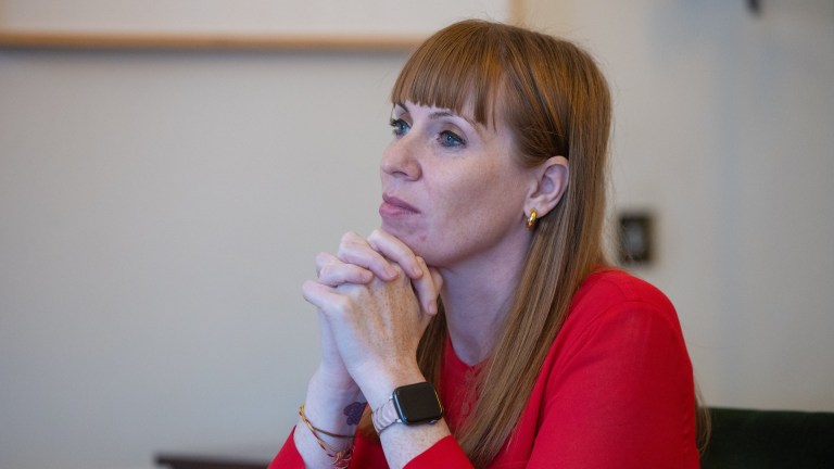 Housing secretary Angela Rayner is responsible for Labour renting reforms