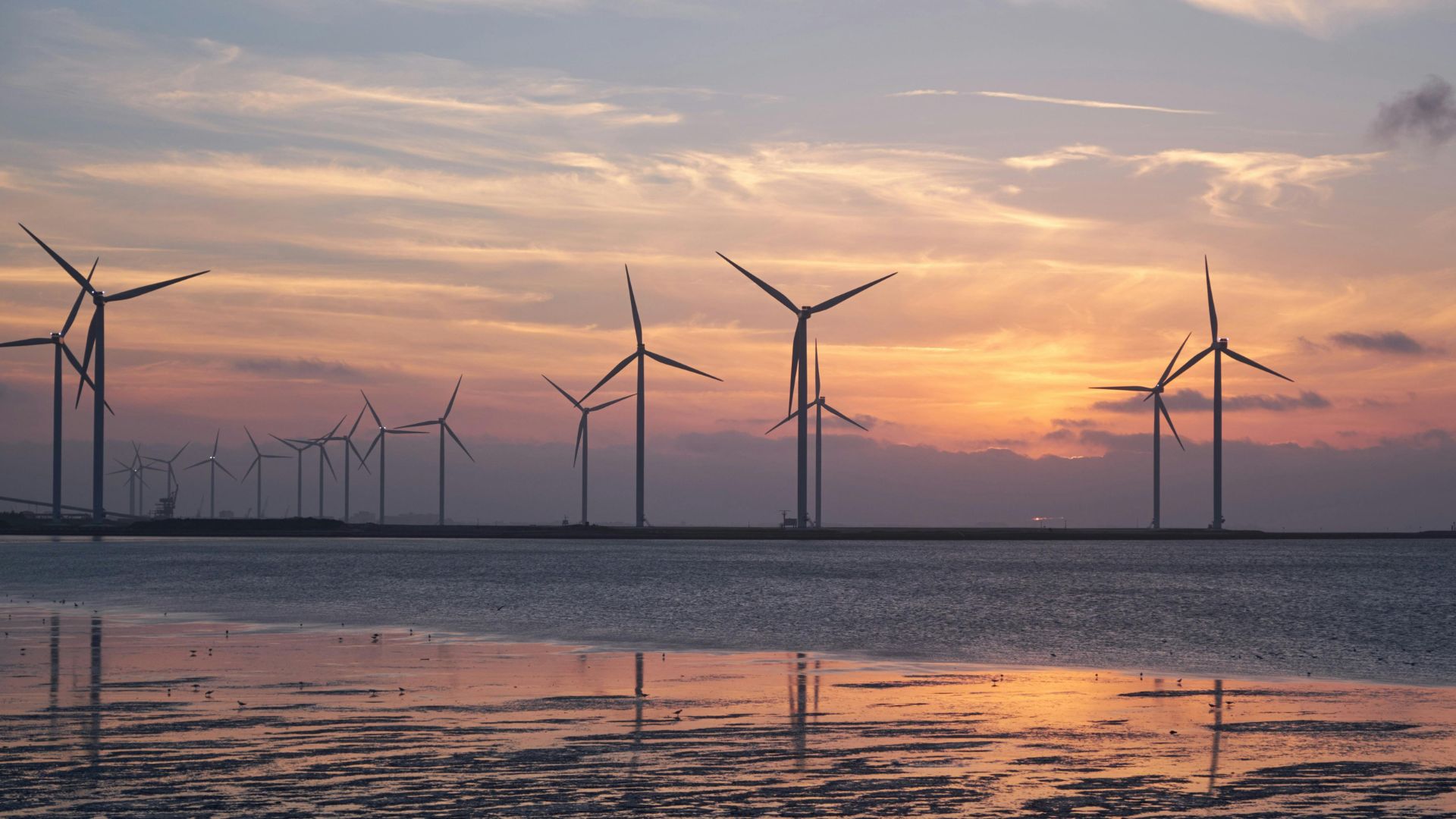 Wind farm shows wind turbines against a sunset - to illustrate a story about Net Zero plans